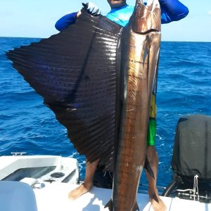 12-Hour Big Game Marathon to El Banco